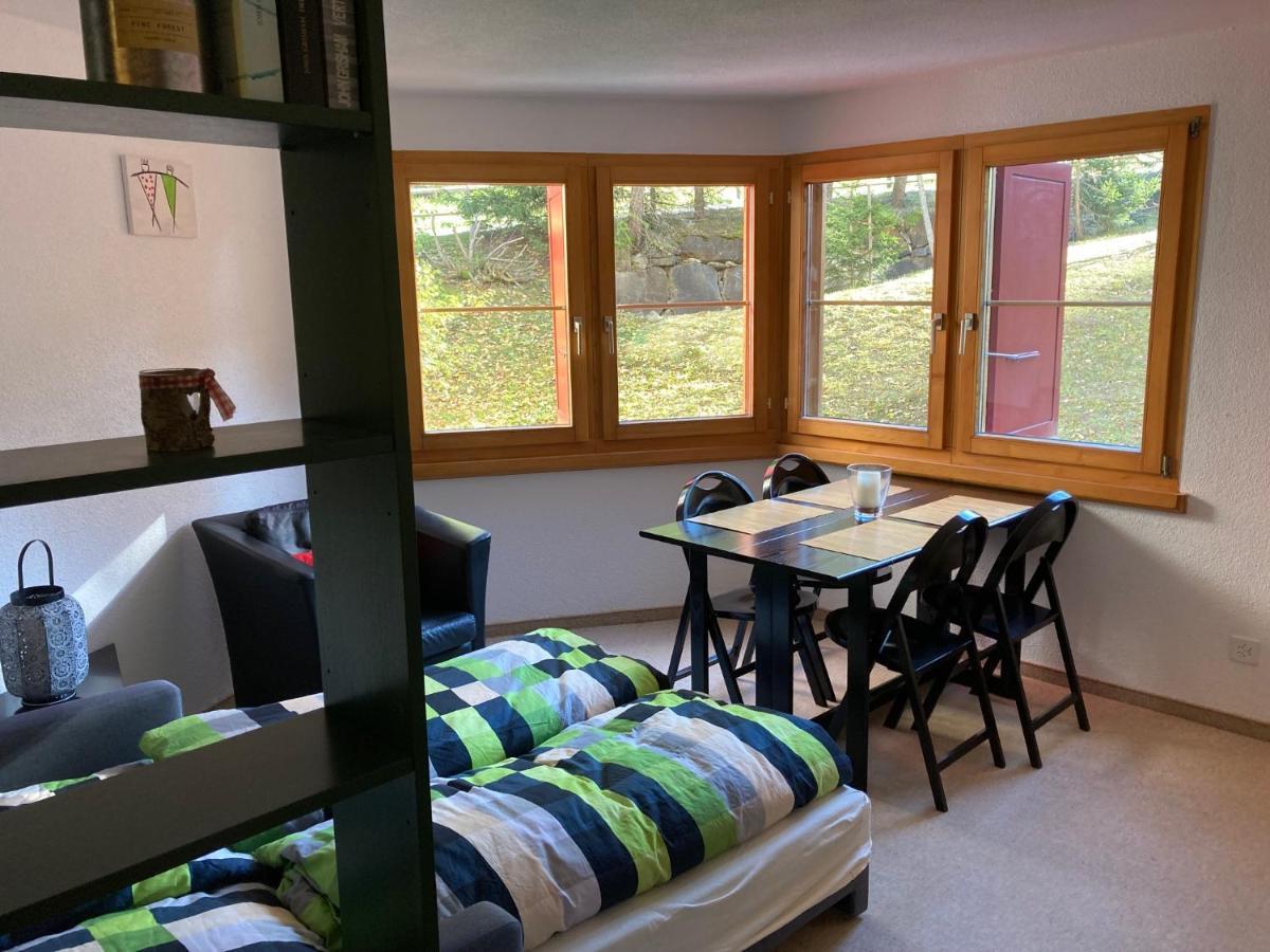 דירות לנזרהיידה Casa Selva 2000 Fl Whg Nr 2 מראה חיצוני תמונה